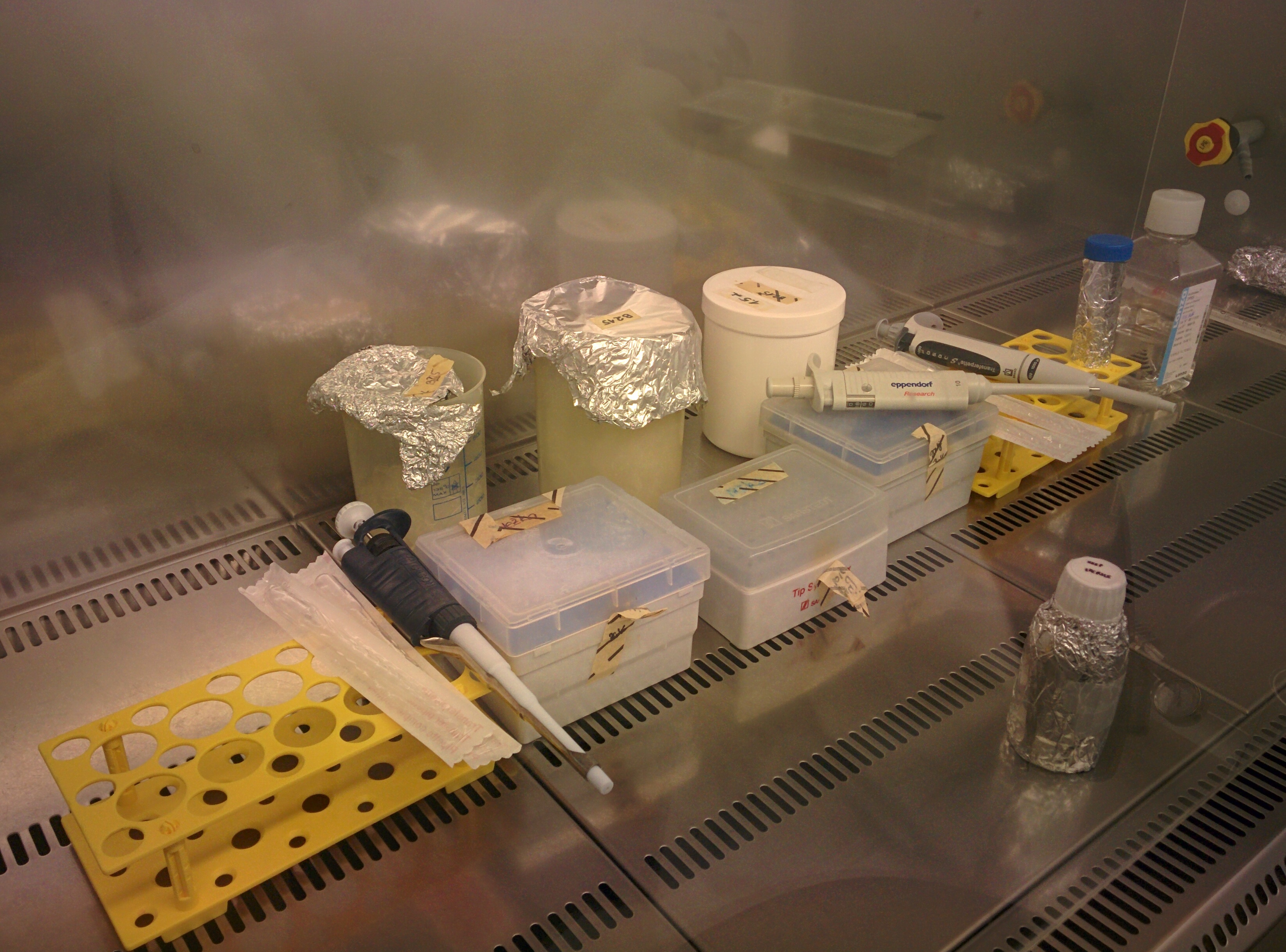 Slika 10: V celinem laboratoriju