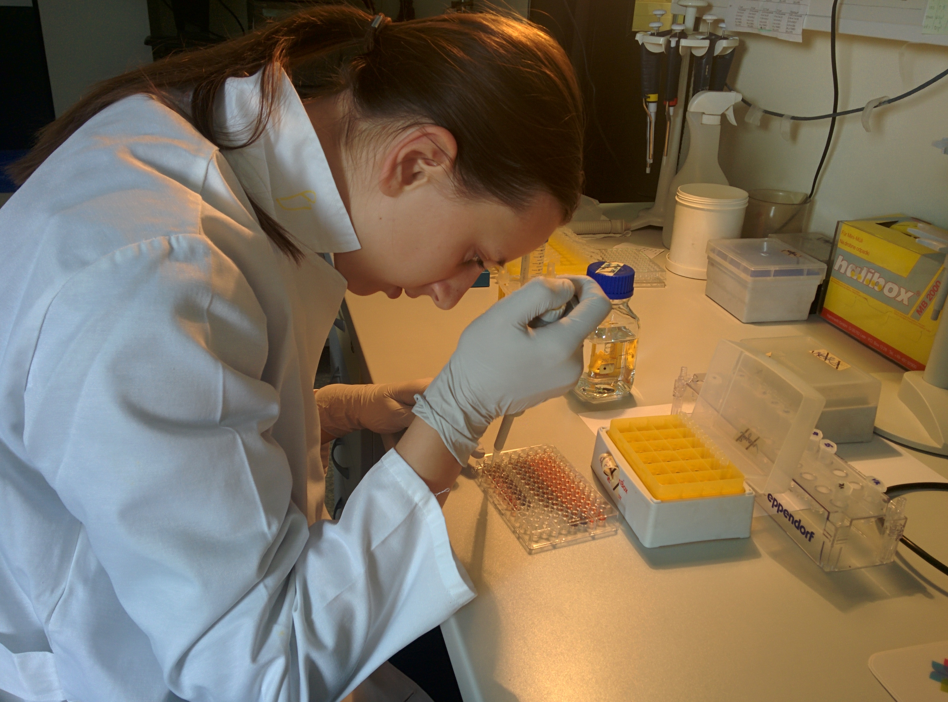 Picture 5: Measuring caspase activity - adding samples